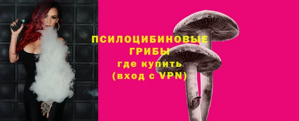 дурь Медвежьегорск