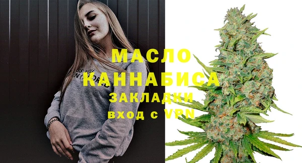молекула духа Медногорск
