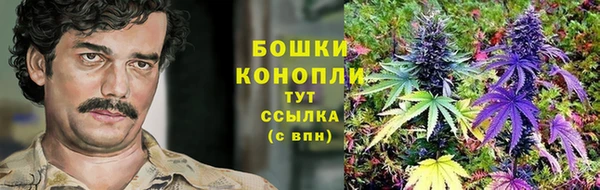 молекула духа Медногорск