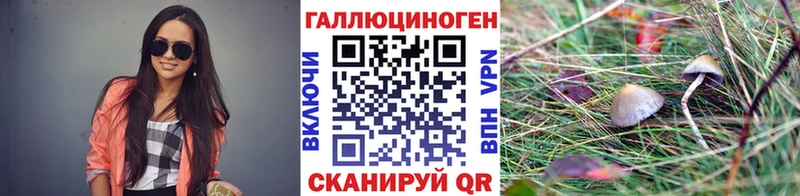 Псилоцибиновые грибы Psilocybe  Злынка 